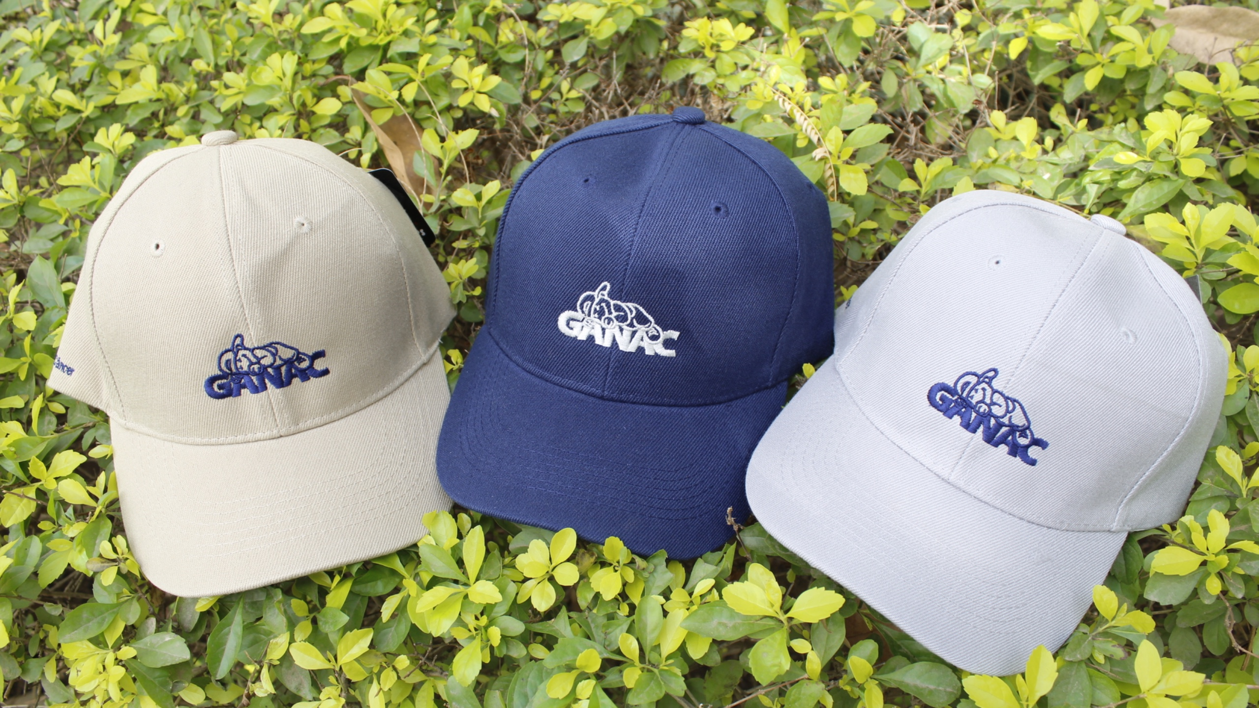 Gorras